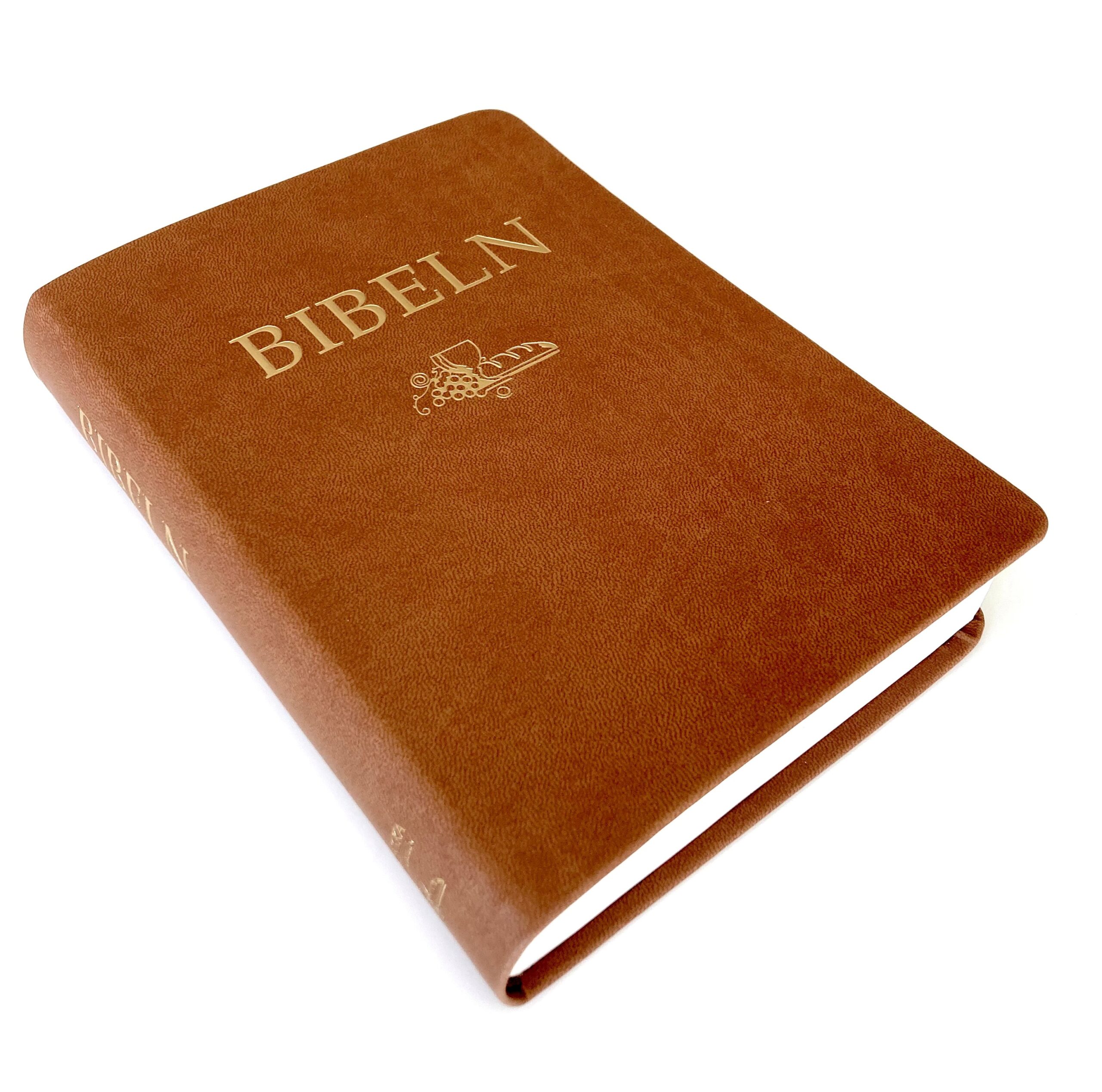 Svenska Folkbibeln - kompaktbibel