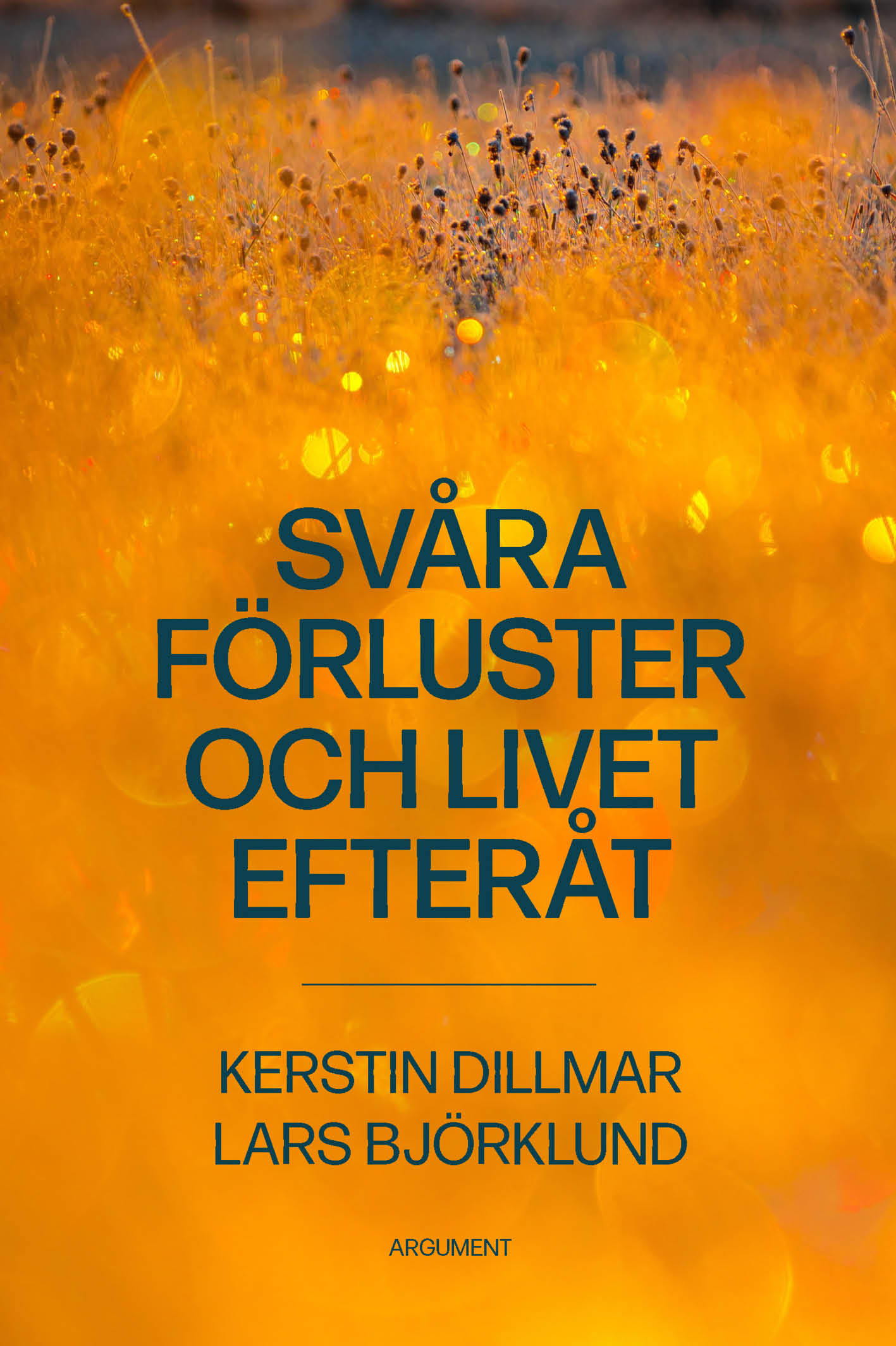 Svåra förluster och livet efteråt