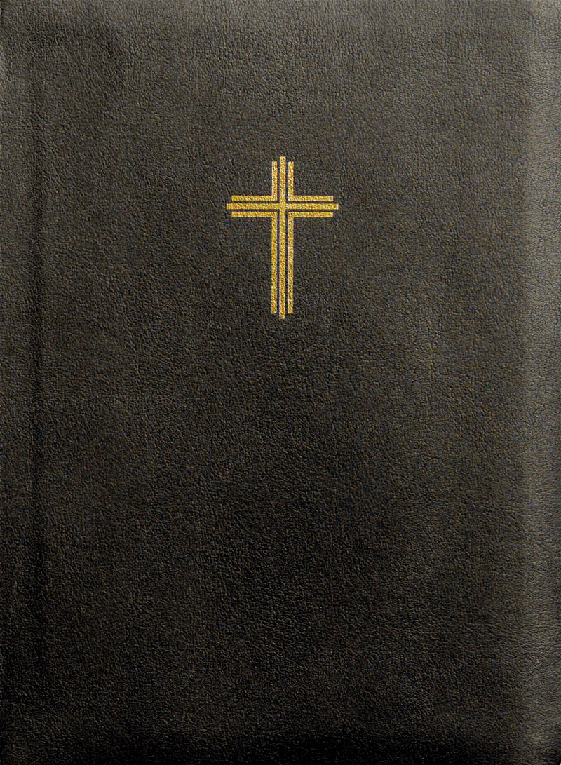 Bibel 2026 - svart, konstskinn